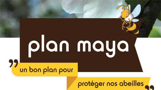 plan maya